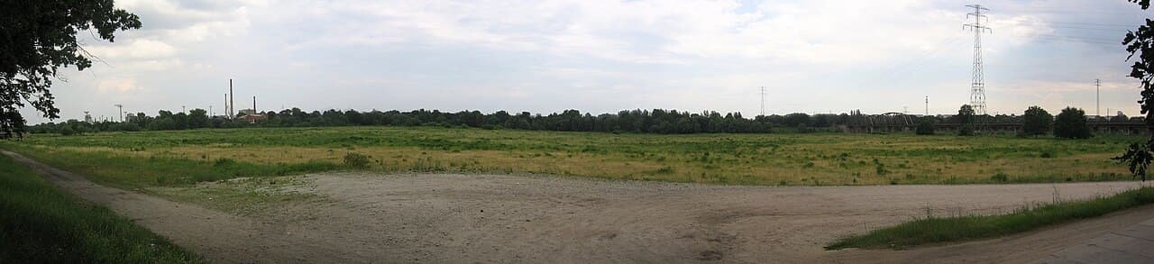 Różanka